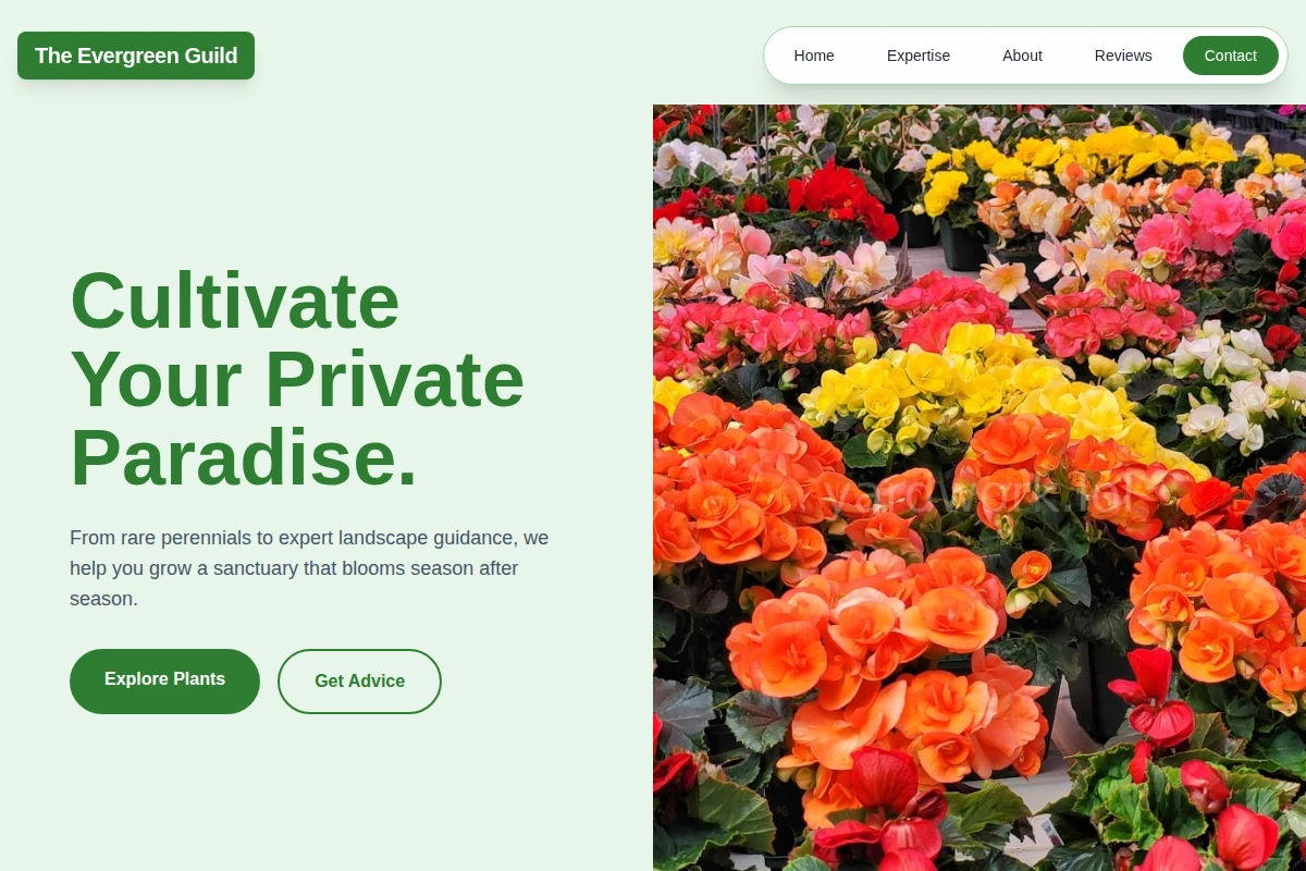 Meadow Garden Center