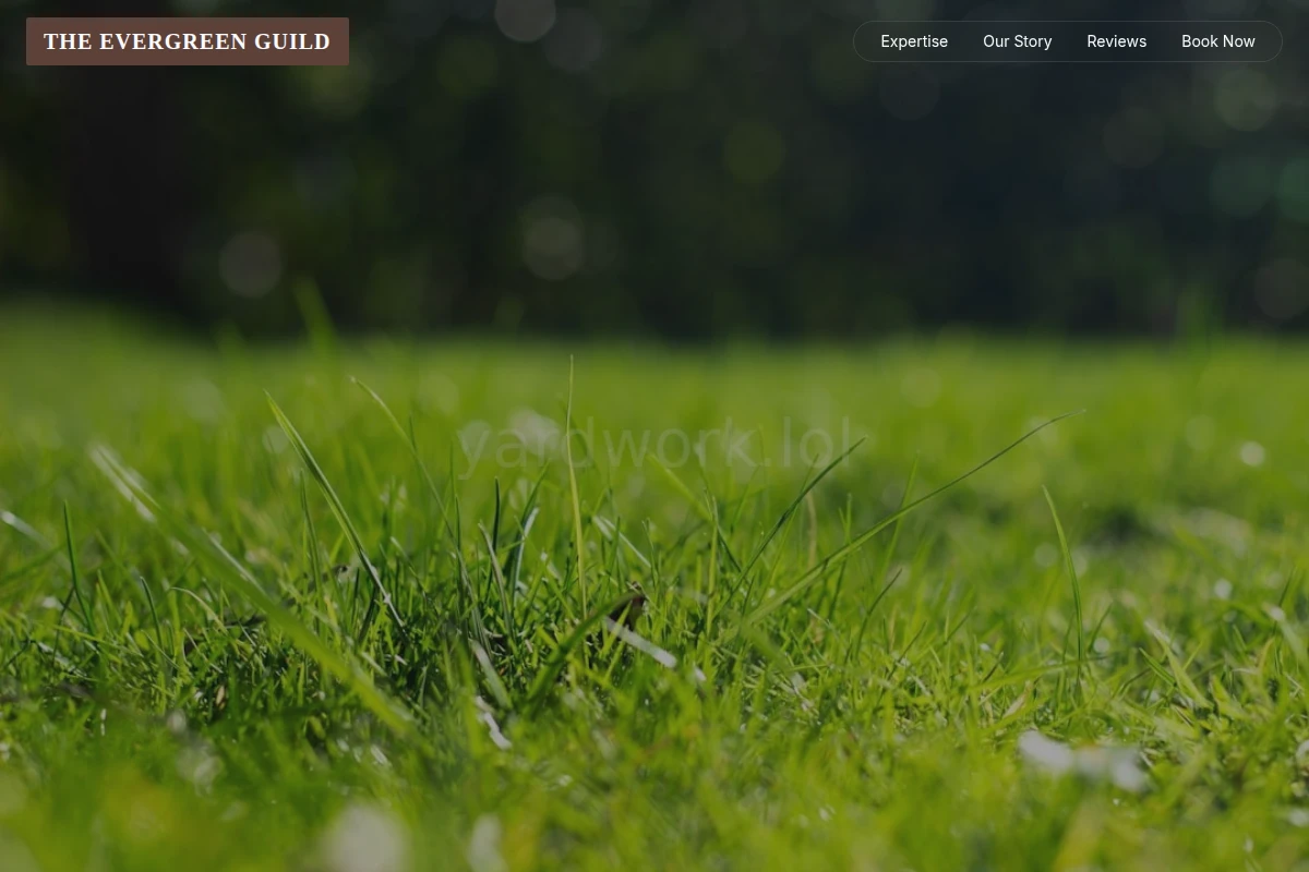 Trimmer Lawn Care