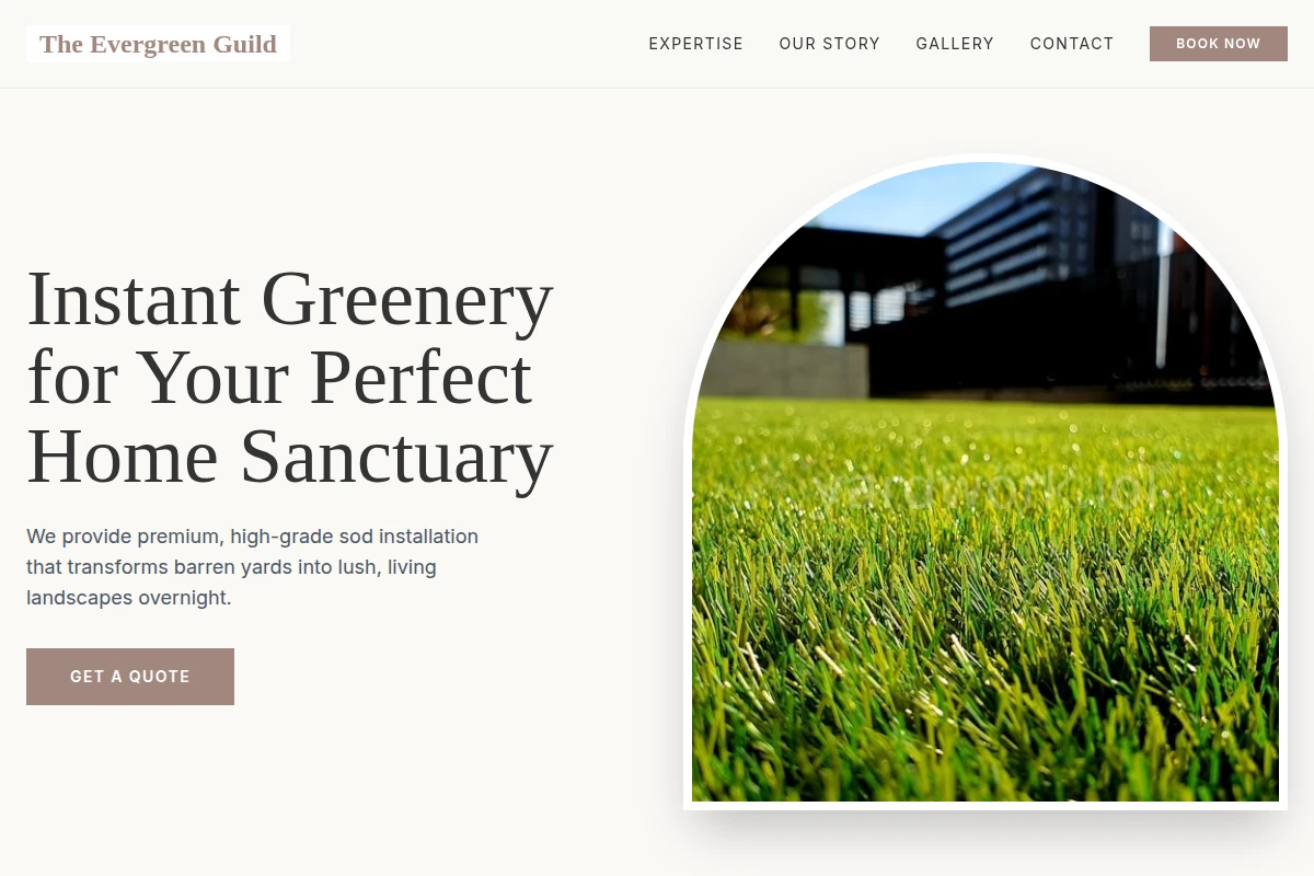 Sod Lawn Care