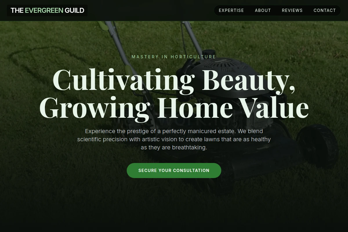 Seed Lawn Care